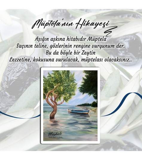 Siyah Zeytin : Gemlik Zeytini Müptela Avantaj Paket 4x2 ...